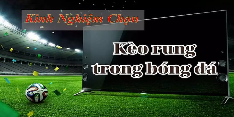 Lựa chọn chính xác trận đấu