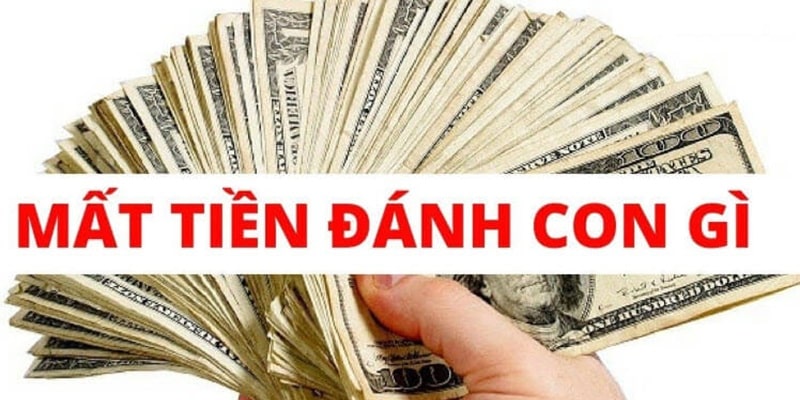 Khám phá các con số liên quan đến nằm mơ thấy mất tiền