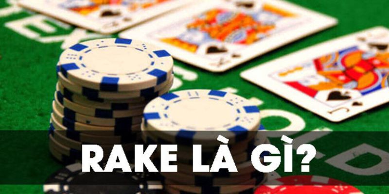 Rake trong Poker là gì rất dễ hiểu