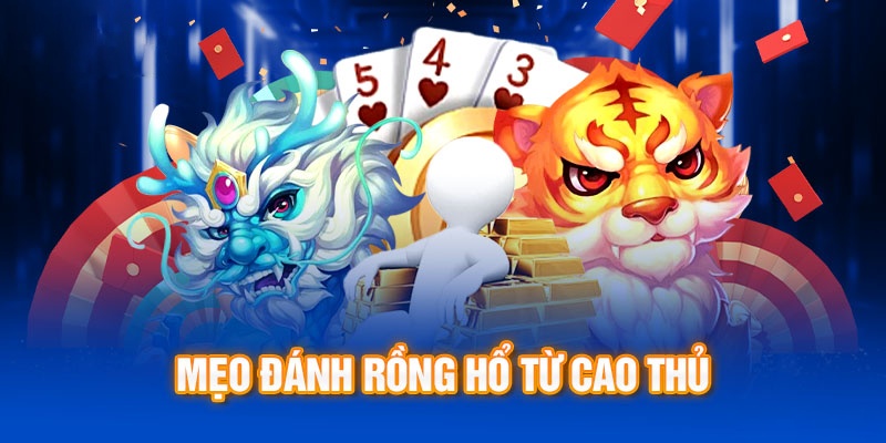 Bí kíp soi cầu Dragon Tiger bất bại từ dân chơi lão làng